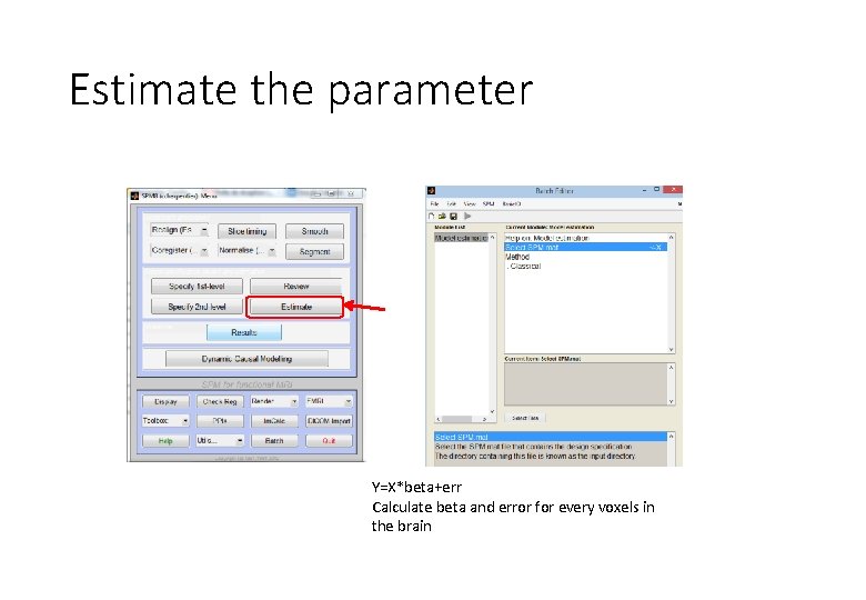 Estimate the parameter Y=X*beta+err Calculate beta and error for every voxels in the brain