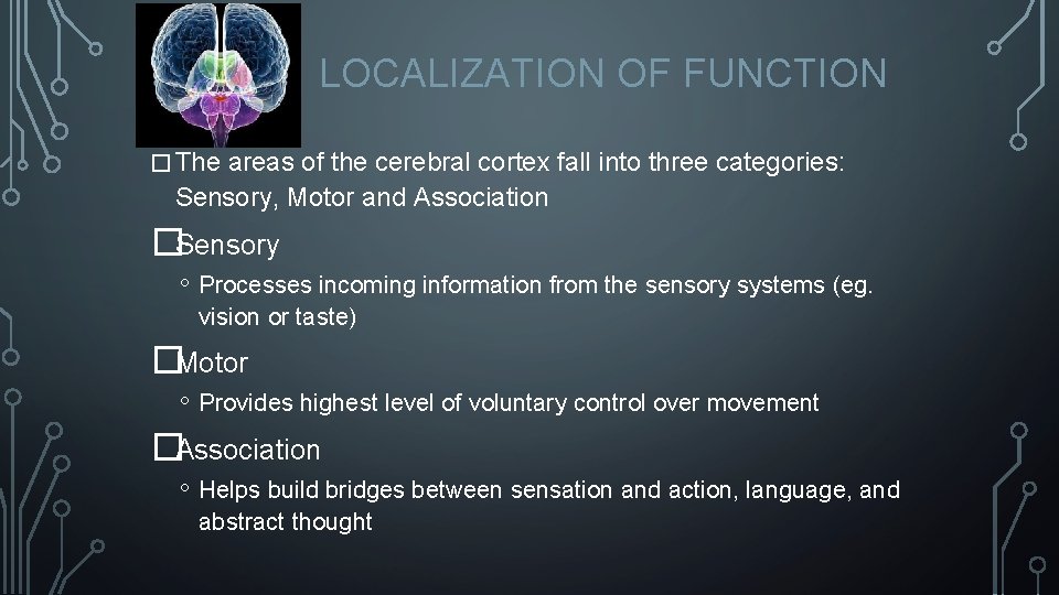 LOCALIZATION OF FUNCTION � The areas of the cerebral cortex fall into three categories: