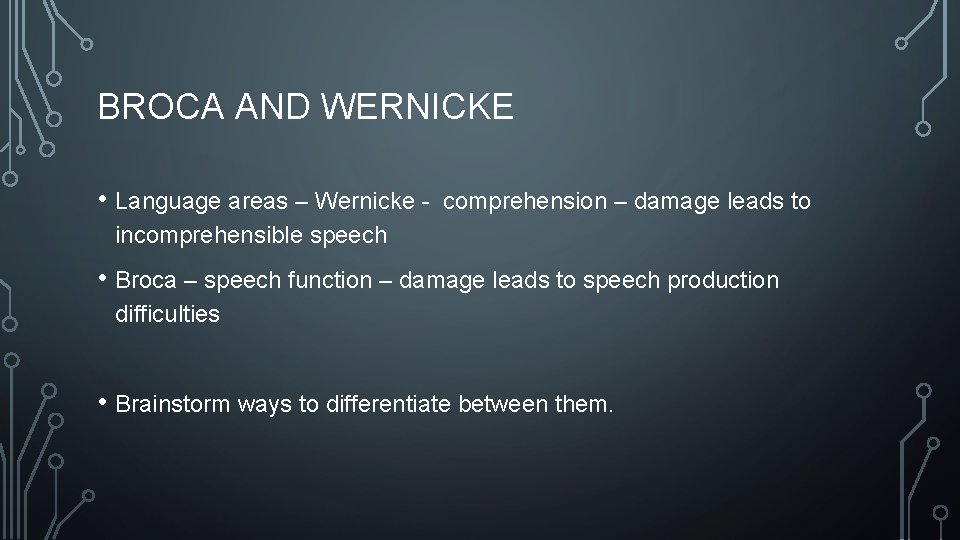 BROCA AND WERNICKE • Language areas – Wernicke - comprehension – damage leads to