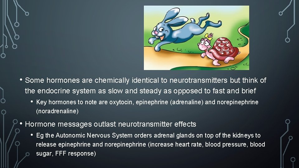  • Some hormones are chemically identical to neurotransmitters but think of the endocrine