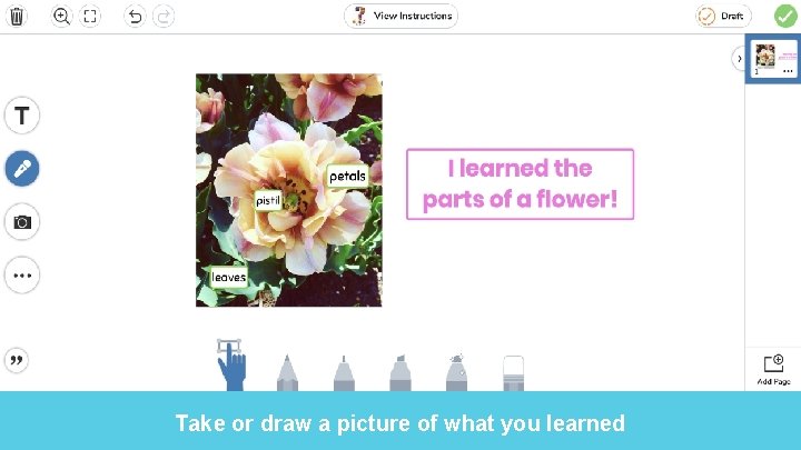 Take or draw a picture of what you learned 