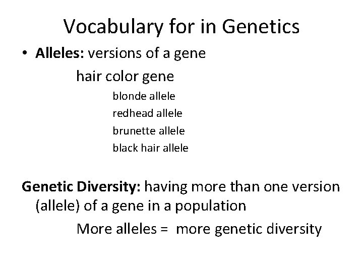 Vocabulary for in Genetics • Alleles: versions of a gene hair color gene blonde