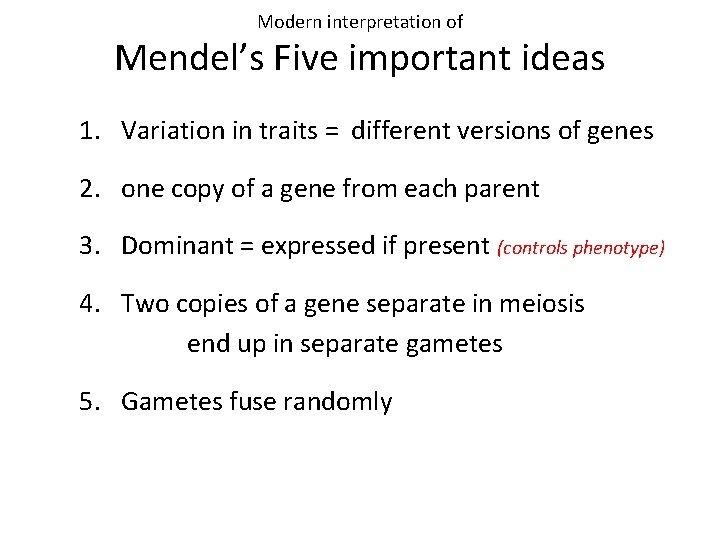 Modern interpretation of Mendel’s Five important ideas 1. Variation in traits = different versions