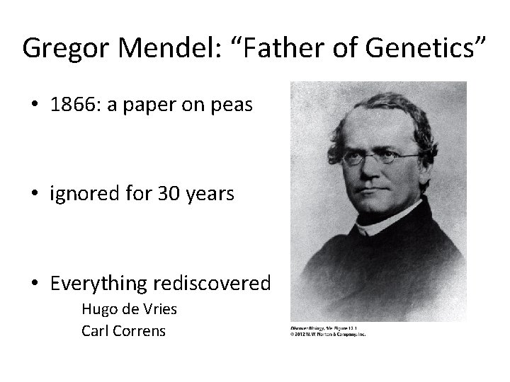 Gregor Mendel: “Father of Genetics” • 1866: a paper on peas • ignored for