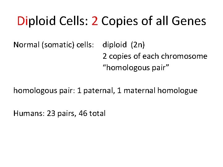 Diploid Cells: 2 Copies of all Genes Normal (somatic) cells: diploid (2 n) 2