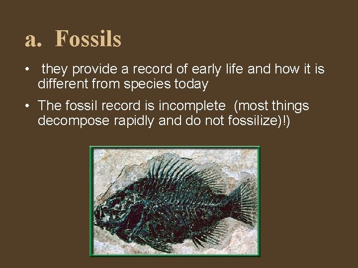 a. Fossils • they provide a record of early life and how it is