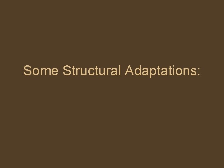 Some Structural Adaptations: 