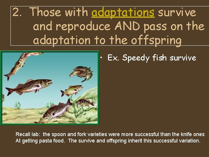 2. Those with adaptations survive and reproduce AND pass on the adaptation to the