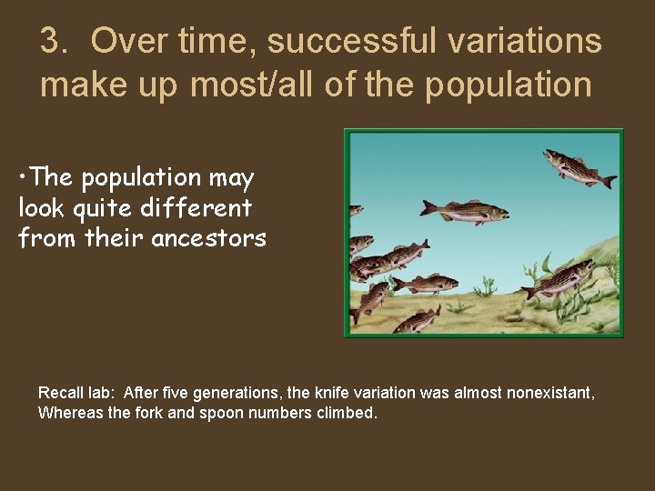 3. Over time, successful variations make up most/all of the population • The population