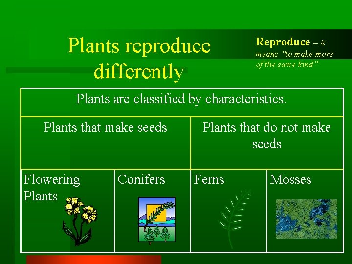 Plants reproduce differently Reproduce – it means “to make more of the same kind”