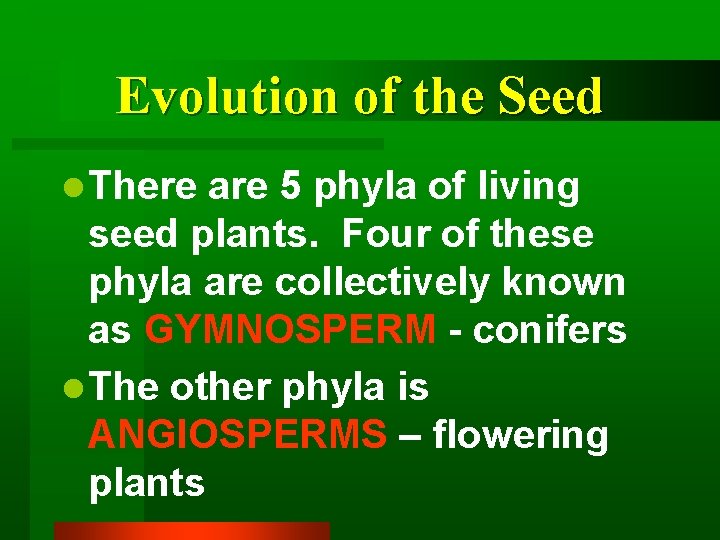 Evolution of the Seed l There are 5 phyla of living seed plants. Four