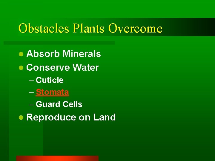 Obstacles Plants Overcome l Absorb Minerals l Conserve Water – Cuticle – Stomata –