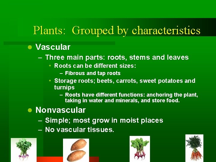 Plants: Grouped by characteristics l Vascular – Three main parts: roots, stems and leaves