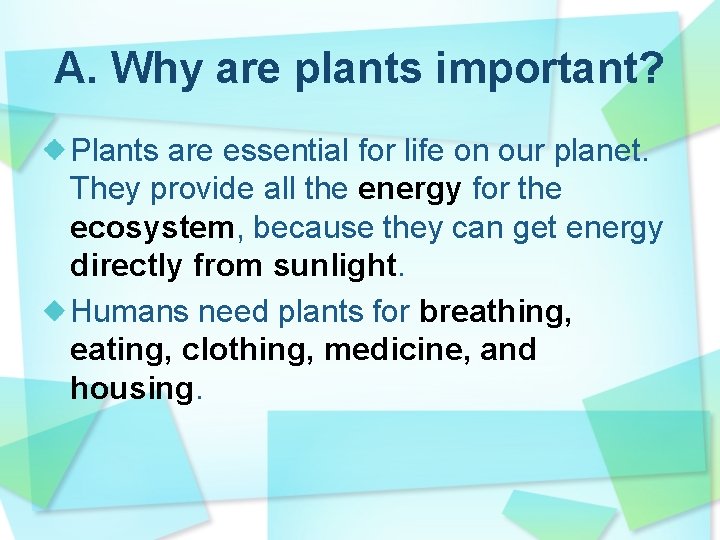 A. Why are plants important? Plants are essential for life on our planet. They