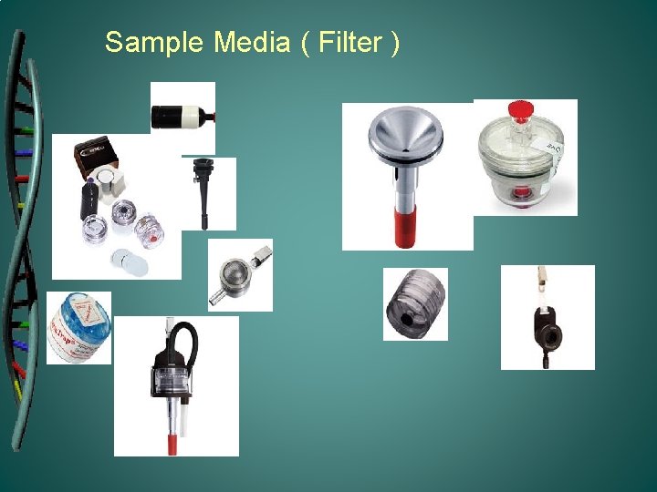 Sample Media ( Filter ) 