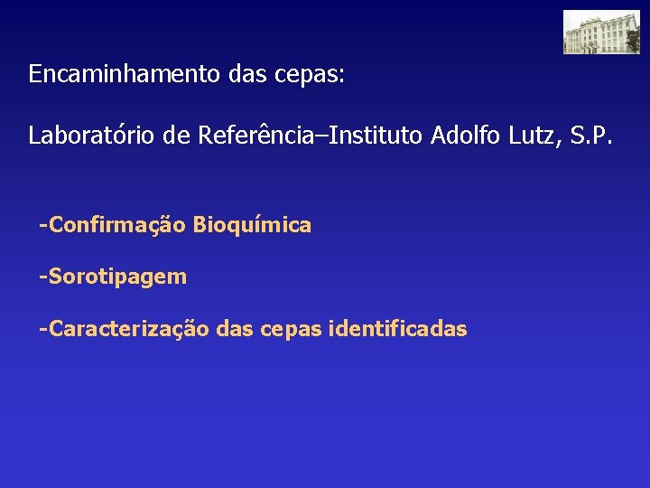 Encaminhamento das cepas: Laboratório de Referência–Instituto Adolfo Lutz, S. P. -Confirmação Bioquímica -Sorotipagem -Caracterização