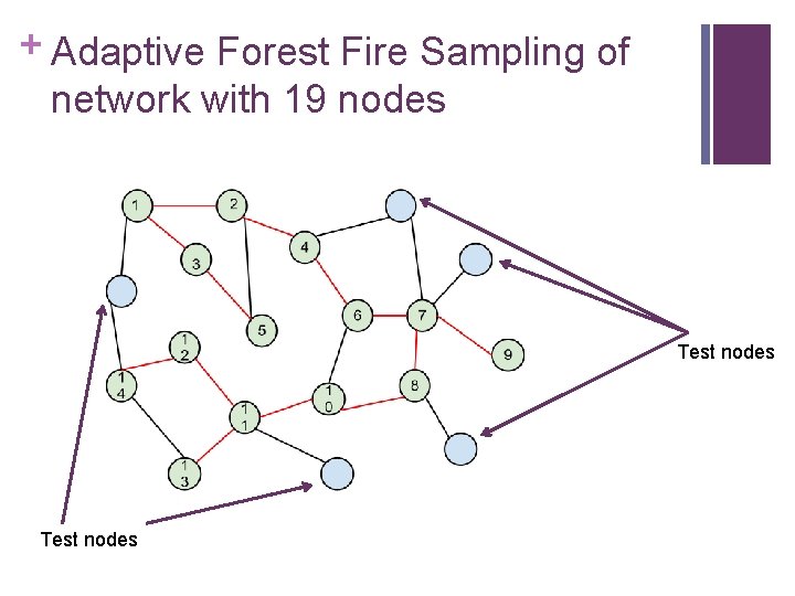 + Adaptive Forest Fire Sampling of network with 19 nodes Test nodes 
