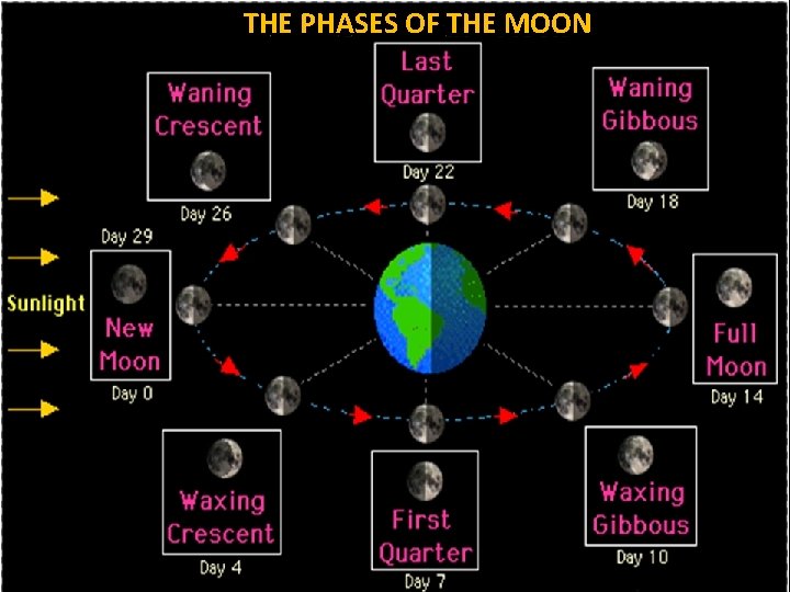 THE PHASES OF THE MOON 