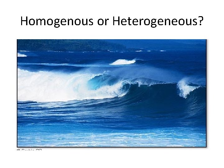 Homogenous or Heterogeneous? 