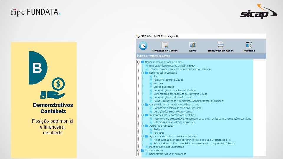 B Demonstrativos Contábeis Posição patrimonial e financeira, resultado 