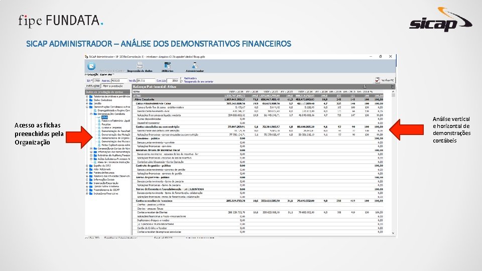 SICAP ADMINISTRADOR – ANÁLISE DOS DEMONSTRATIVOS FINANCEIROS Acesso as fichas preenchidas pela Organização Análise