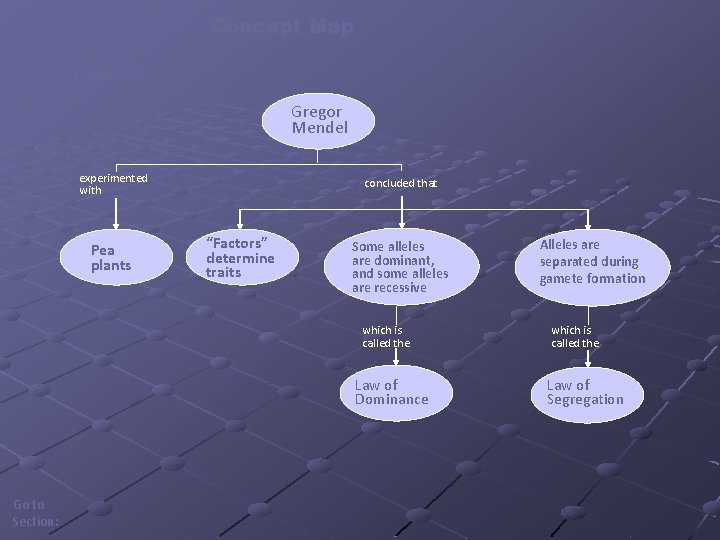 Concept Map Section 11 -3 Gregor Mendel experimented with Pea plants concluded that “Factors”