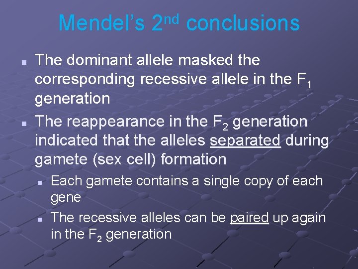 Mendel’s 2 nd conclusions n n The dominant allele masked the corresponding recessive allele