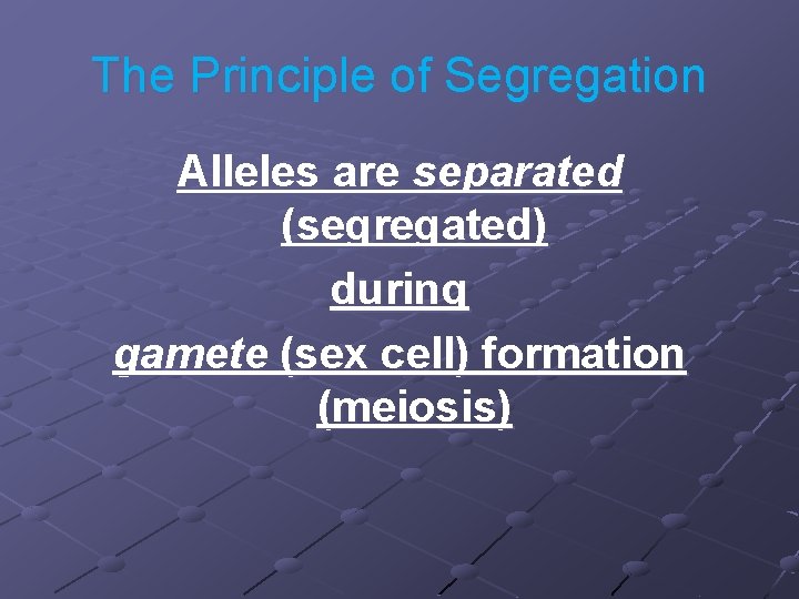 The Principle of Segregation Alleles are separated (segregated) during gamete (sex cell) formation (meiosis)