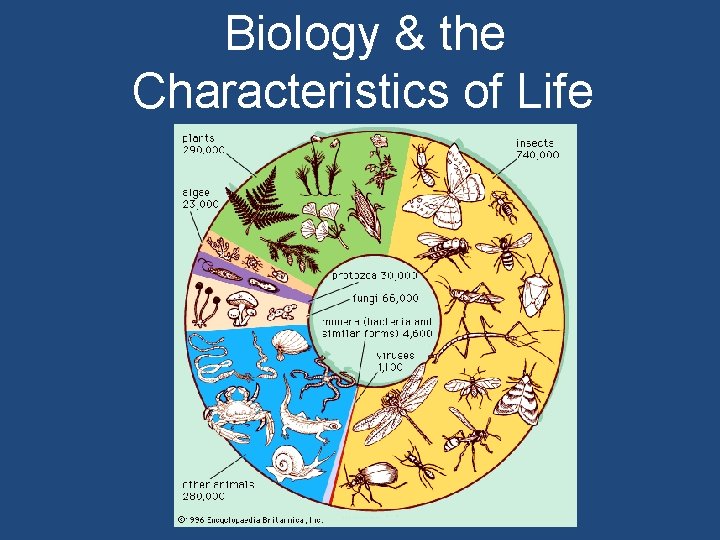 Biology & the Characteristics of Life 