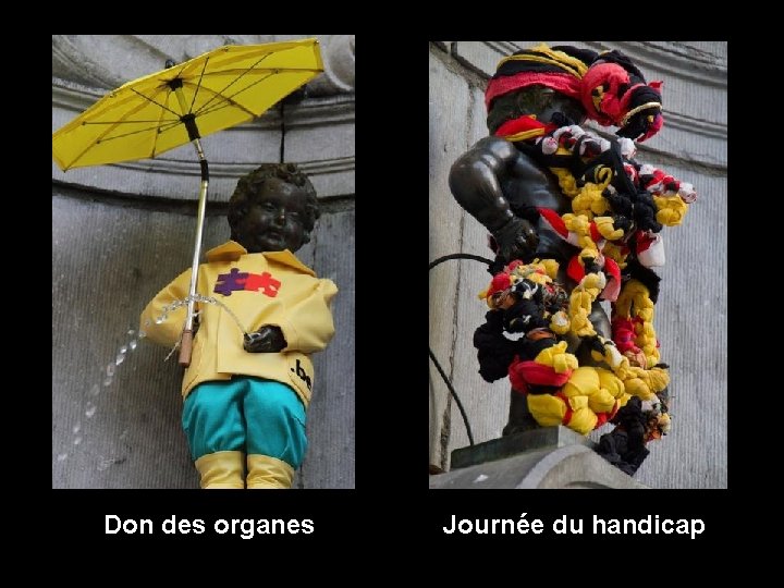 Don des organes Journée du handicap 