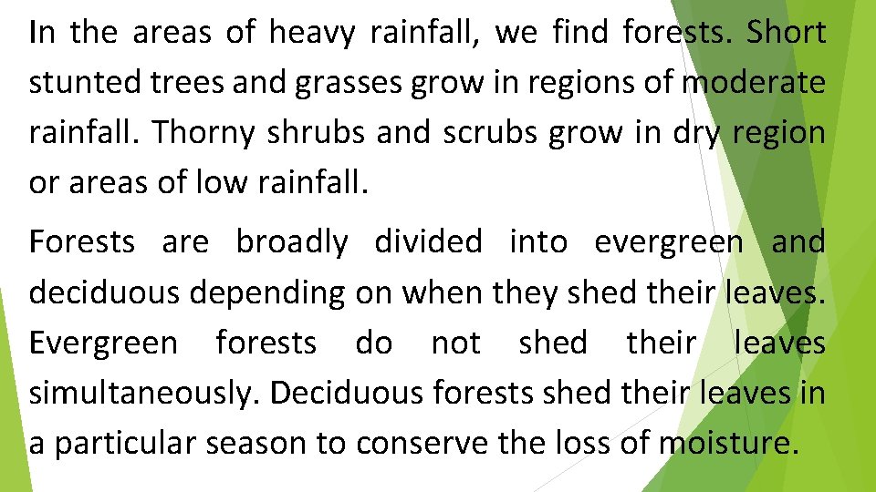 In the areas of heavy rainfall, we find forests. Short stunted trees and grasses