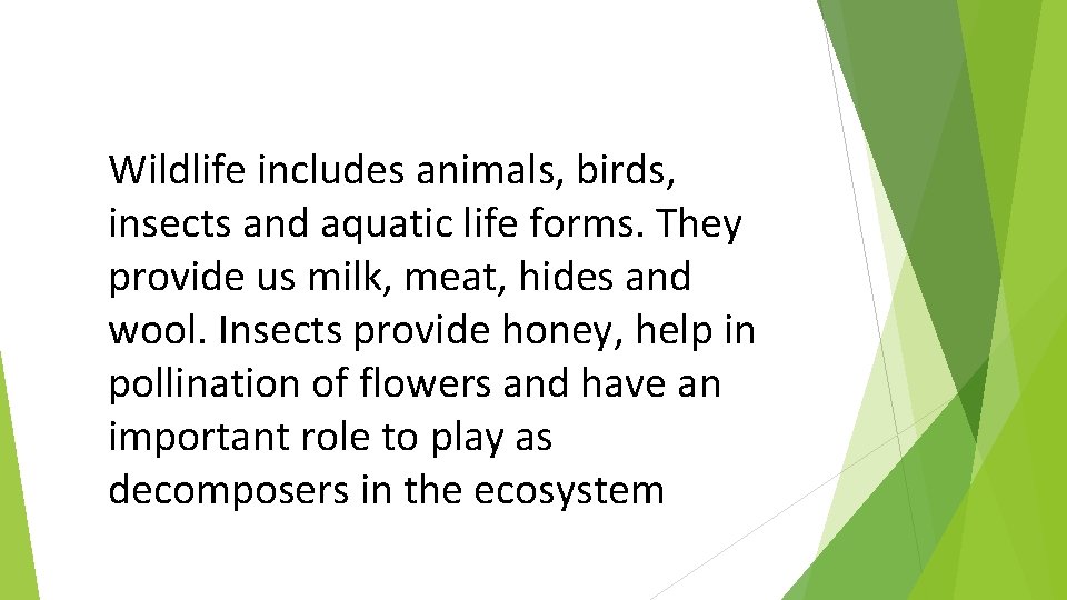Wildlife includes animals, birds, insects and aquatic life forms. They provide us milk, meat,