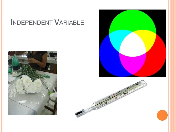 INDEPENDENT VARIABLE INDEPENDENT VARIABLE