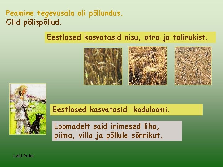 Peamine tegevusala oli põllundus. Olid põlispõllud. Eestlased kasvatasid nisu, otra ja talirukist. Eestlased kasvatasid