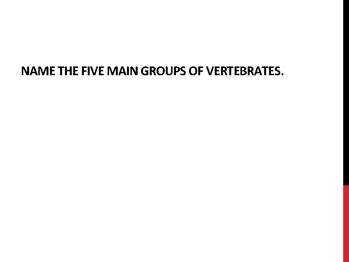 NAME THE FIVE MAIN GROUPS OF VERTEBRATES. 