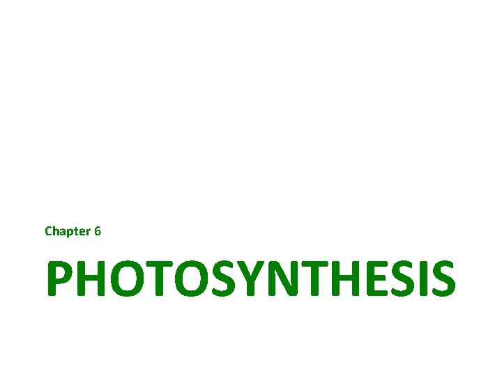 Chapter 6 PHOTOSYNTHESIS 