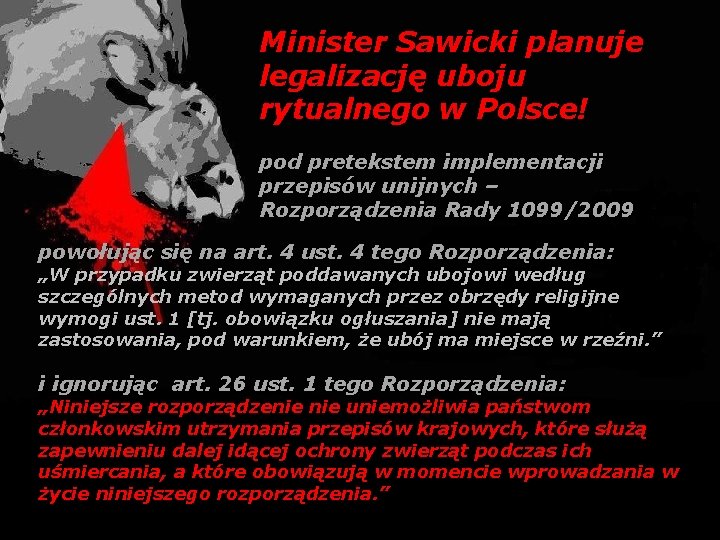 Minister Sawicki planuje legalizację uboju rytualnego w Polsce! pod pretekstem implementacji przepisów unijnych –