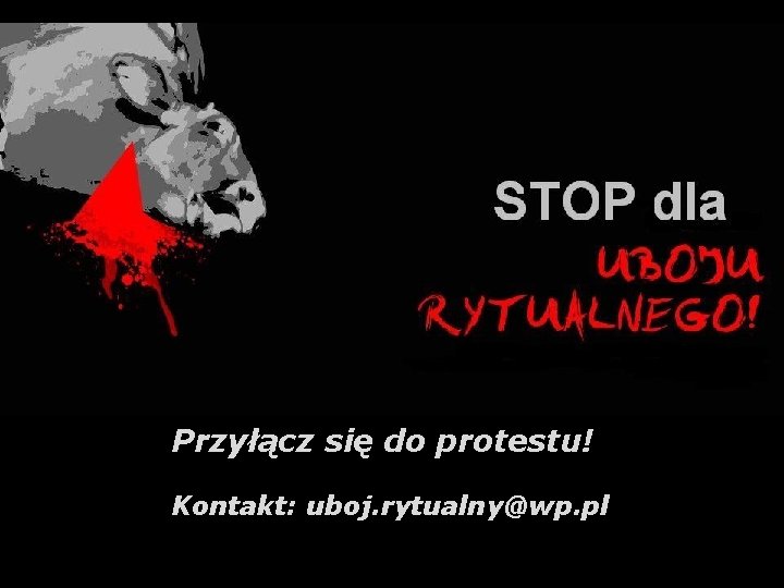 Przyłącz się do protestu! Kontakt: uboj. rytualny@wp. pl 