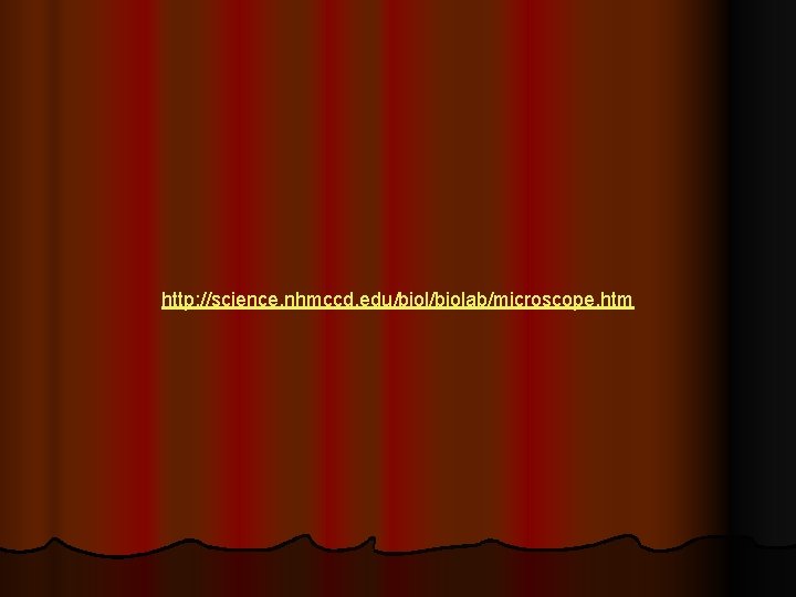 http: //science. nhmccd. edu/biolab/microscope. htm http: //science. nhmccd. edu/biolab/microscope. htm