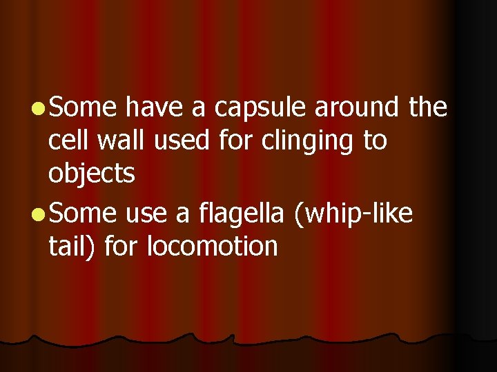 l Some have a capsule around the cell wall used for clinging to objects l Some have a capsule around the cell wall used for clinging to objects