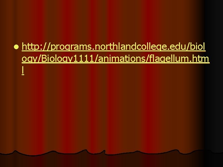 l http: //programs. northlandcollege. edu/biol ogy/Biology 1111/animations/flagellum. htm l l http: //programs. northlandcollege. edu/biol ogy/Biology 1111/animations/flagellum. htm l