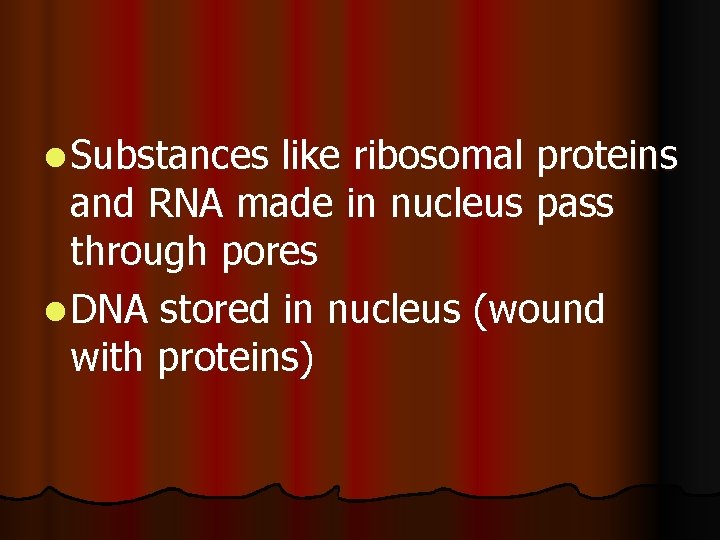 l Substances like ribosomal proteins and RNA made in nucleus pass through pores l l Substances like ribosomal proteins and RNA made in nucleus pass through pores l