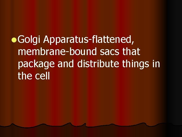l Golgi Apparatus-flattened, membrane-bound sacs that package and distribute things in the cell l Golgi Apparatus-flattened, membrane-bound sacs that package and distribute things in the cell