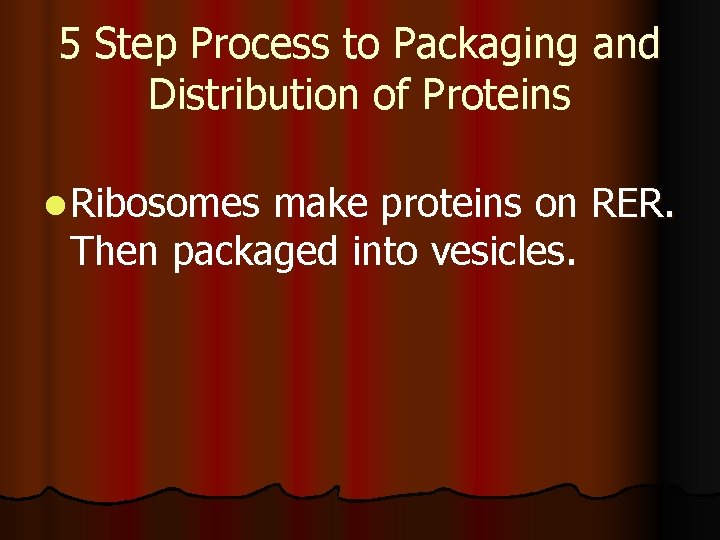 5 Step Process to Packaging and Distribution of Proteins l Ribosomes make proteins on 5 Step Process to Packaging and Distribution of Proteins l Ribosomes make proteins on