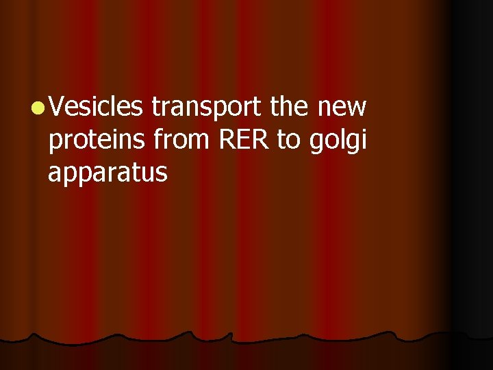 l Vesicles transport the new proteins from RER to golgi apparatus l Vesicles transport the new proteins from RER to golgi apparatus