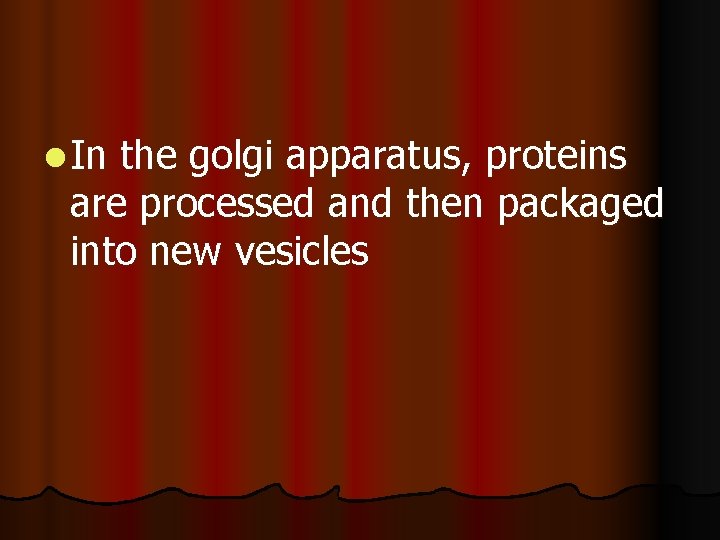 l In the golgi apparatus, proteins are processed and then packaged into new vesicles l In the golgi apparatus, proteins are processed and then packaged into new vesicles