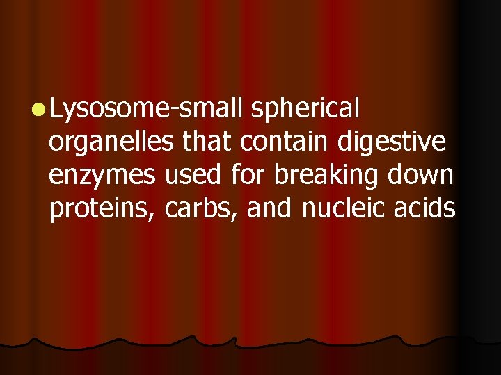 l Lysosome-small spherical organelles that contain digestive enzymes used for breaking down proteins, carbs, l Lysosome-small spherical organelles that contain digestive enzymes used for breaking down proteins, carbs,