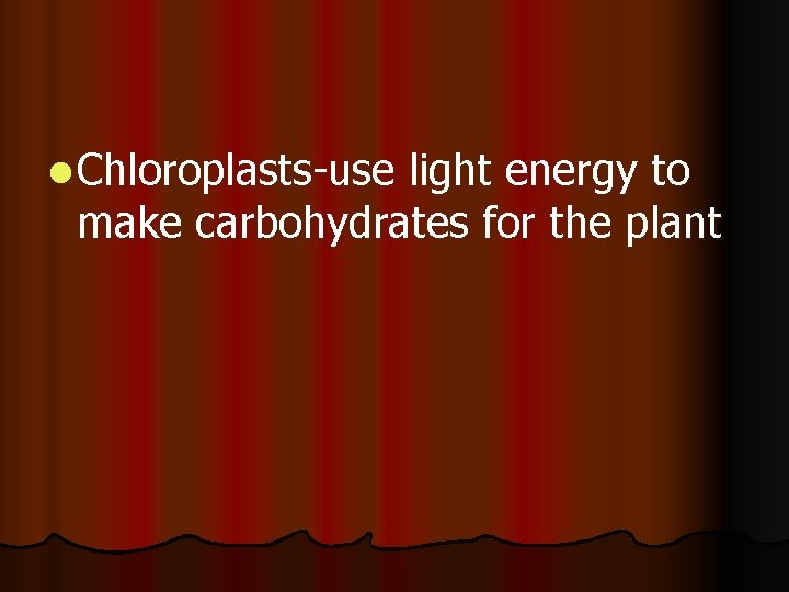 l Chloroplasts-use light energy to make carbohydrates for the plant l Chloroplasts-use light energy to make carbohydrates for the plant