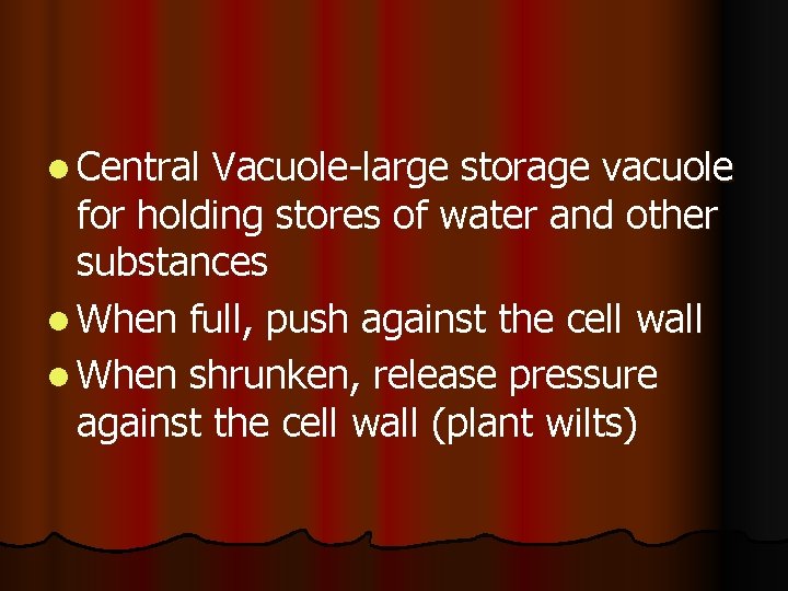 l Central Vacuole-large storage vacuole for holding stores of water and other substances l l Central Vacuole-large storage vacuole for holding stores of water and other substances l