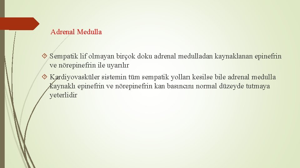 Adrenal Medulla Sempatik lif olmayan birçok doku adrenal medulladan kaynaklanan epinefrin ve nörepinefrin ile